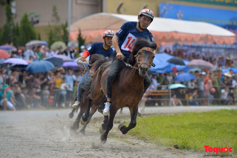Caballos que compiten en la vibrante pista de carreras.