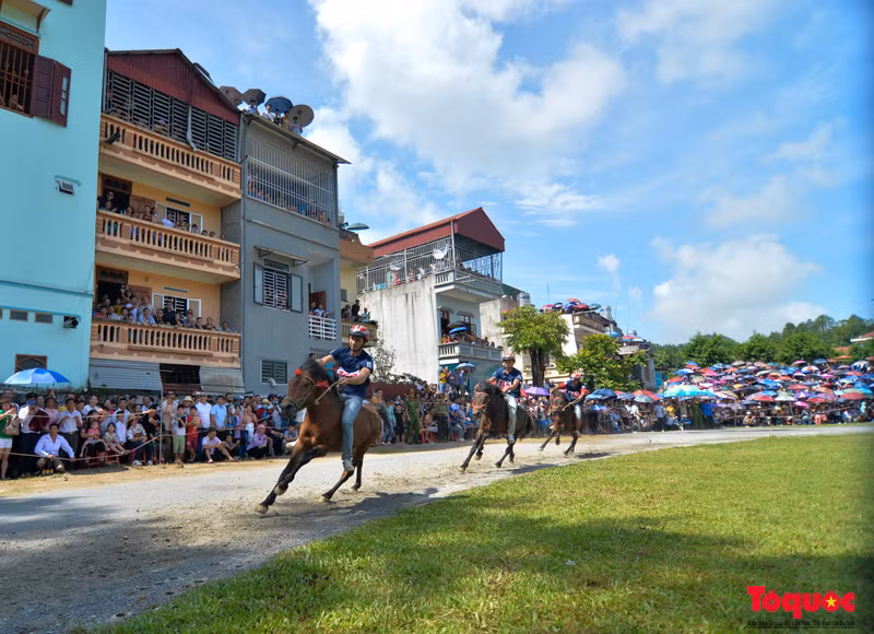 Carreras de caballos en meseta de Bac Ha, belleza de Patrimonio Cultural Intangible Nacional 