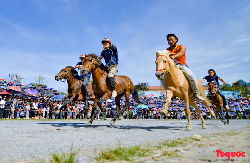 Las carreras hípicas de Bac Ha fueron reconocidas el 27 de mayo de 2021 como Patrimonio Cultural Inmaterial Nacional y se han convertido en un producto turístico único del distrito de Bac Ha.
