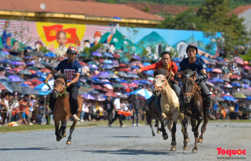 También contribuye al desarrollo del turismo, al aumento de los ingresos y al consumo de especialidades locales. Esto es una realización de los esfuerzos de la provincia de Lao Cai para hacer realidad el lema "Preservación y promoción de la identidad cultural de los grupos étnicos asociados con el desarrollo turístico" en el marco del Programa de objetivos nacionales para el desarrollo socioeconómico de las minorías étnicas y las zonas montañosas, periodo 2021-2030.