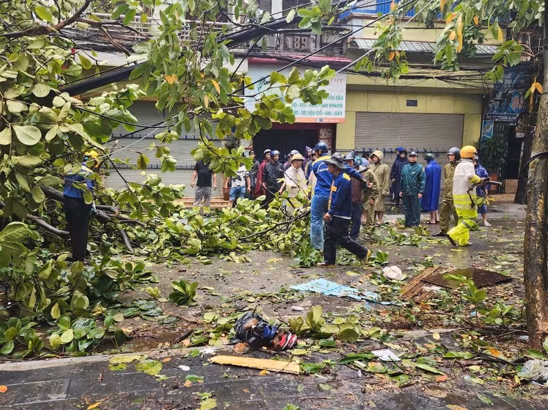 En la mañana del 8 de septiembre, las autoridades retiran los árboles caídos en la ciudad de Nam Dinh.