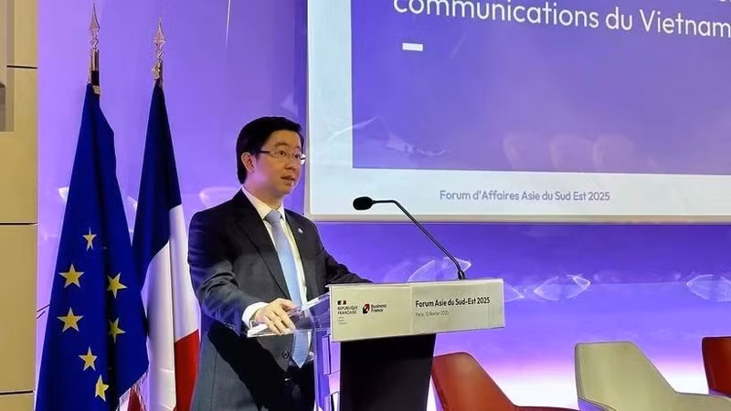 Bui Hoang Phuong, viceministro de Información y Comunicación de Vietnam, habla en el tercer Foro Empresarial del Sudeste Asiático. (Foto: VNA)