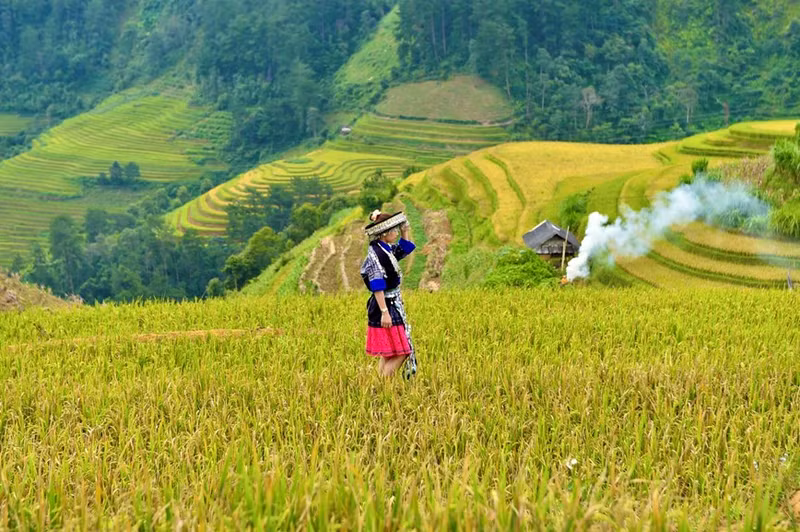 Las colinas Mam xoi y Mong ngua atraen a muchos turistas deseosos de tomar fotos.