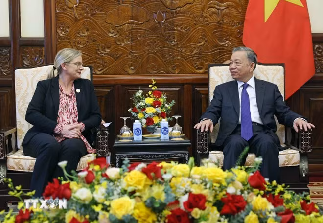 El presidente To Lam recibe a la embajadora de Suecia en Vietnam, Ann Mawe. (Foto: Nhan Dan)