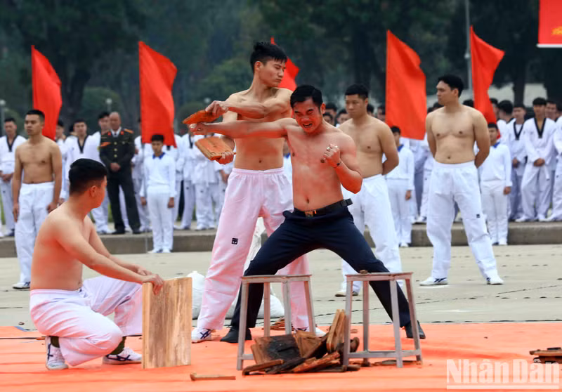 Demostración de artes marciales.