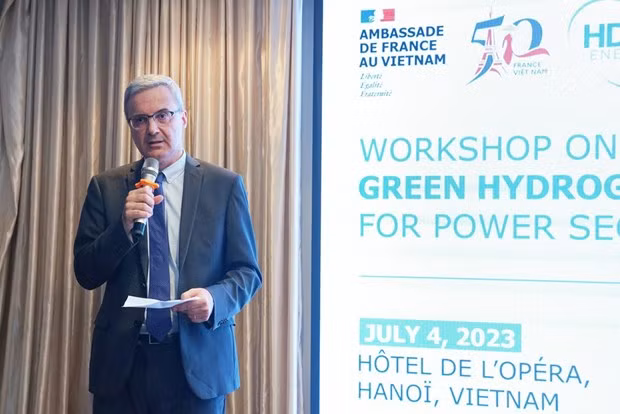 Nicolas Warnery, embajador de Francia en Vietnam, en la cita (Foto: VNA)