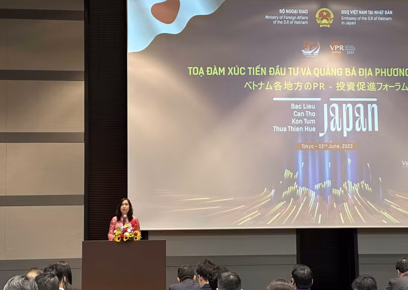 La viceministra vietnamita de Relaciones Exteriores, Le Thi Thu Hang, interviene en el evento (Foto: baoquocte.vn)