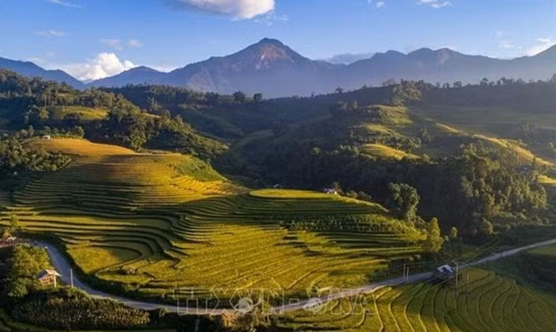 Terrazas de arroz en Sapa (Foto: VNA)