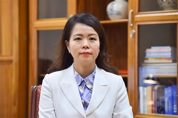La viceministra de Relaciones Exteriores Nguyen Minh Hang (Foto: VNA)