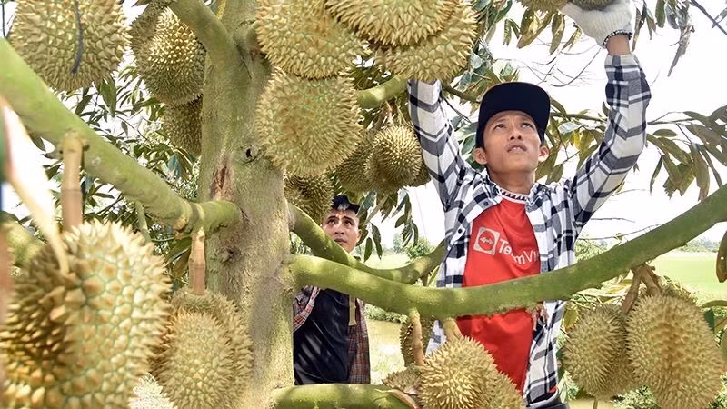 (Foto: Nhan Dan)