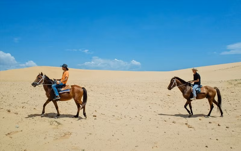 Disfrutar la experiencia de montar a caballo en la provincia de Ninh Thuan