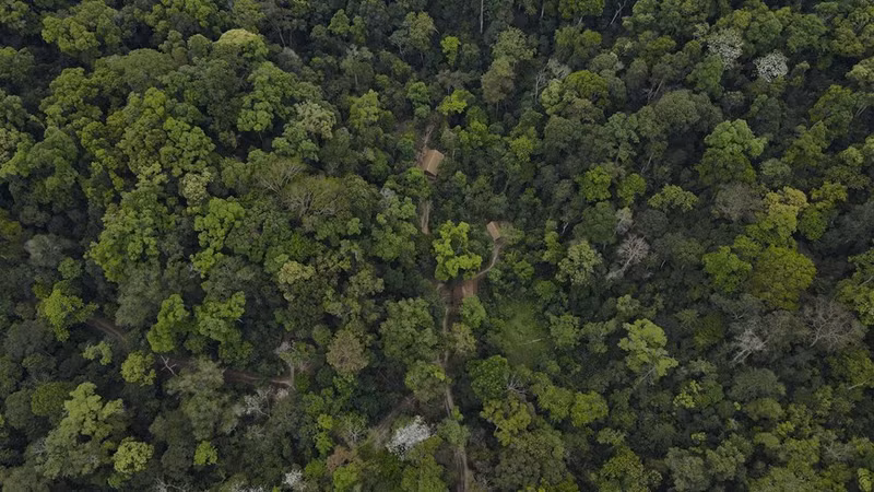 El cuartel general del Comando de Campaña de Dien Bien Phu está ubicado en el antiguo bosque de la comuna de Muong Phang, de la provincia de Dien Bien. (Foto: VNA)
