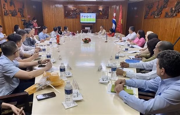 El encuentro entre la delegación vietnamita y la provincia de Pinar del Río (Foto: VNA)