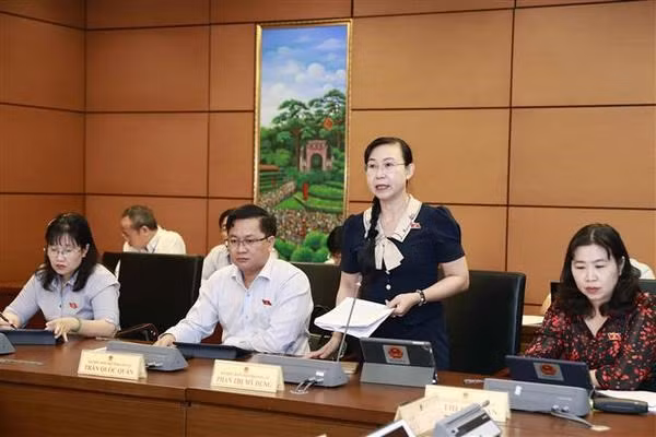 Diputada Phan Thi My Dung en la sesión. (Foto: VNA)