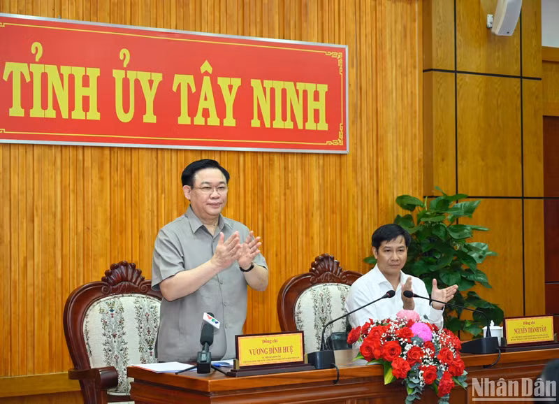 Dinh Hue preside la sesión de trabajo.