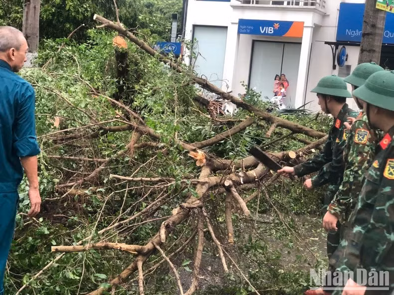 En la circunscripción de Phuc La, distrito de Ha Dong, desde las 4:30 de la mañana, inmediatamente después de que pasara la tormenta, las autoridades movilizan a todos los trabajadores, fuerzas de seguridad de base, policías, soldados y estudiantes de la Academia Médica Militar para trabajar en la limpieza y el barrido de calles.