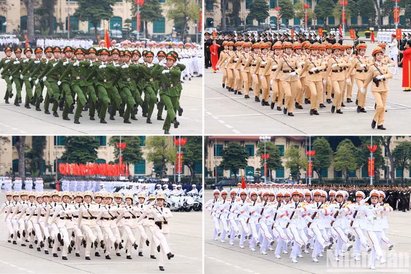 Desfile de las fuerzas.
