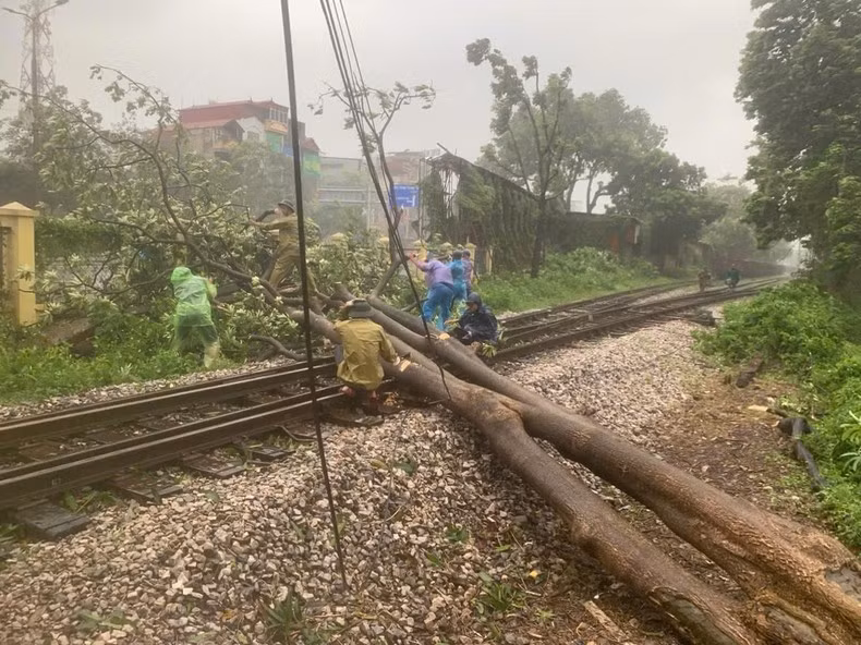 Las autoridades retiran los árboles caídos que bloqueaban las vías del ferrocarril. (Foto: Son Bach)