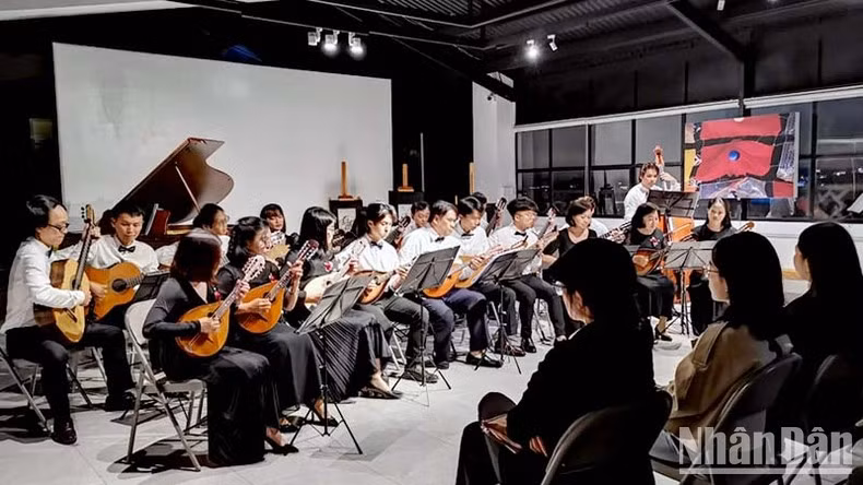 Espectáculo de guitarra y mandolina en un espacio creativo.