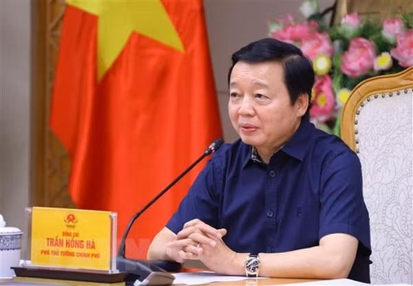 El viceprimer ministro Tran Hong Ha (Foto: VNA)