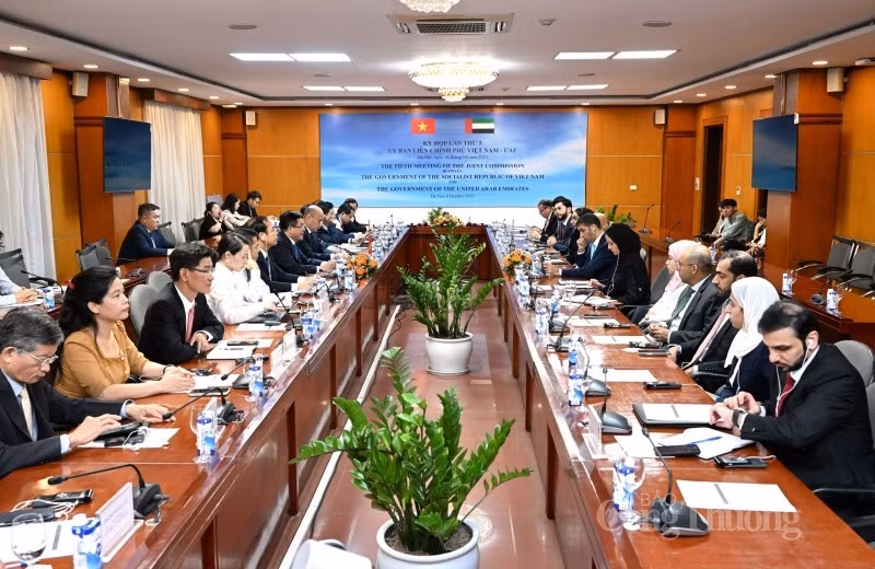 En la sesión plenaria de la quinta reunión del Comité Intergubernamental entre Vietnam y EAU (Foto: congthuong.vn)