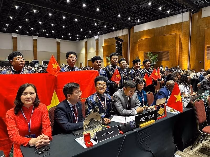 La delegación vietnamita asistió a la XIX Sesión del Comité Intergubernamental para la Salvaguardia del Patrimonio Cultural Inmaterial, celebrada en Asunción, capital de Paraguay.