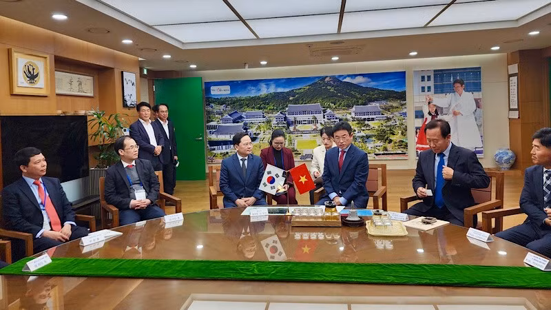 En una actividad de la delegación de Bac Ninh en Corea del Sur. (Fotografía: Nhan Dan)