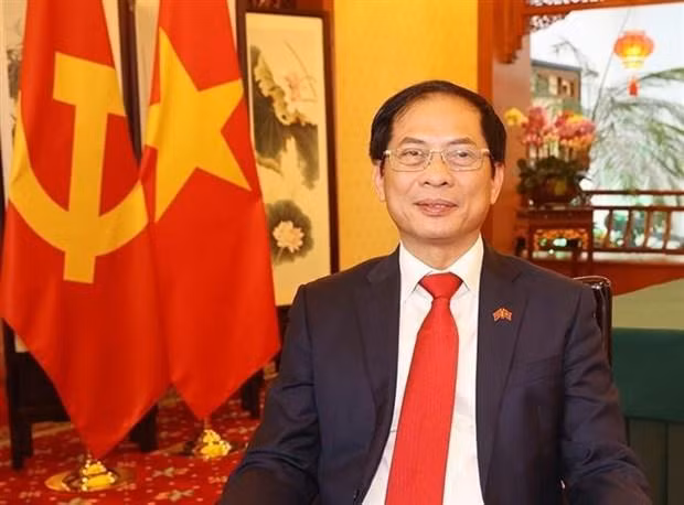 El ministro de Relaciones Exteriores de Vietnam, Bui Thanh Son. (Fotografía: VNA)
