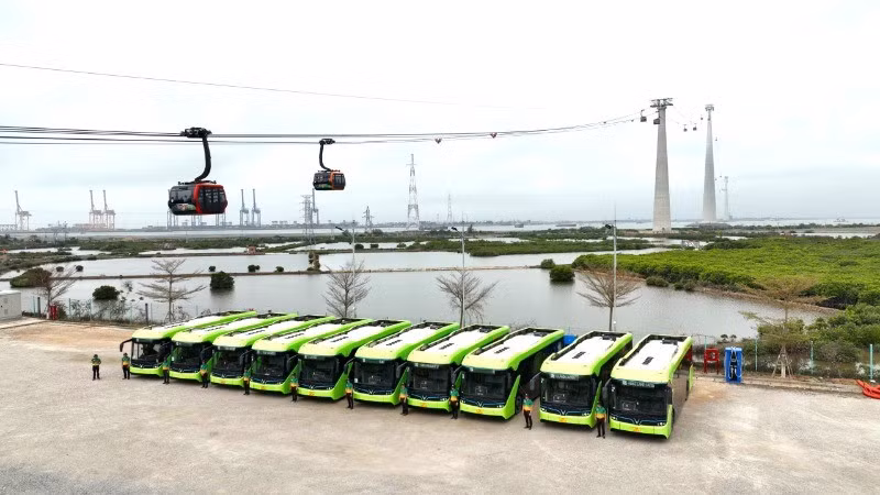 El transporte eléctrico gratuito para turistas en la isla de Cat Ba se despliega a partir del 18 de abril. (Fotografía: Nhan Dan)