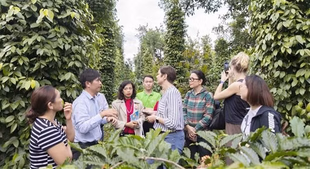 Representantes de la delegación de la UE en Vietnam, IDH y otros socios visitan la zona del proyecto en el distrito de Cu M'Gar. (Fotografía: VNA)