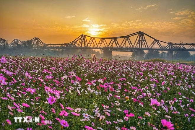 La belleza del puente de Long Bien al amanecer.