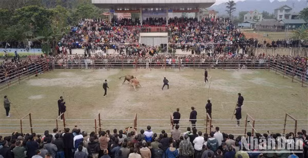 El público abarrota el estadio de Ha Quang.