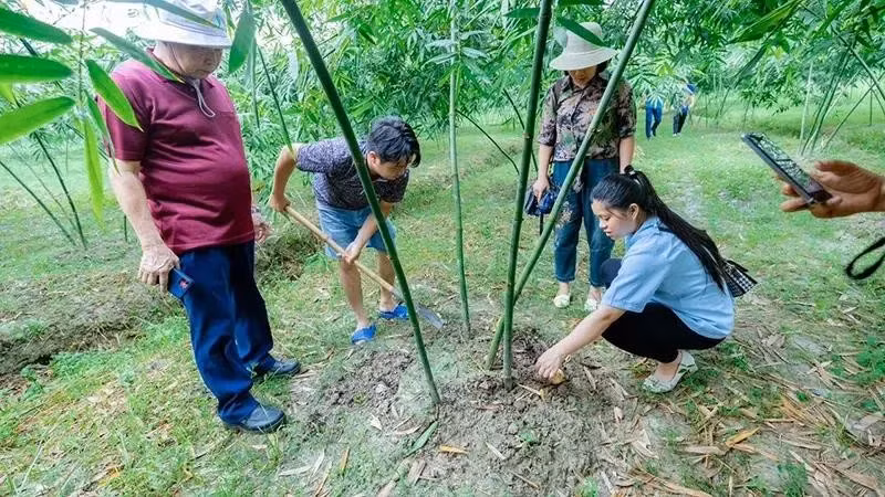 Un modelo de turismo agrícola ecológico en Bac Giang. (Fotografía: Nhan Dan)