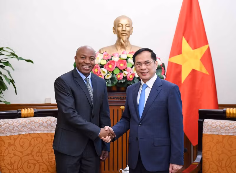 El vice primer ministro y titular de Relaciones Exteriores de Vietnam, Bui Thanh Son, sostiene una reunión con el viceministro de Asuntos Exteriores y Cooperación de Tanzania, Cosato David Chumi. (Fotografía: VNA)