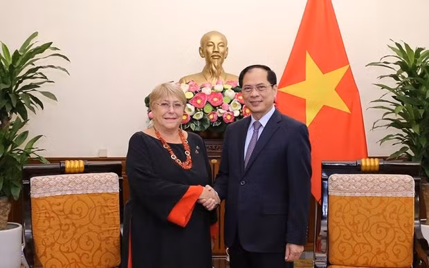 El canciller de Vietnam, Bui Thanh Son, recibe a la expresidenta chilena Michelle Bachelet Jeria. (Fotografía: Nhan Dan)