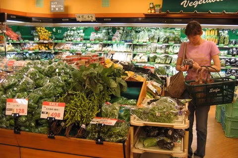 Varias hierbas vietnamitas como cilantro, albahaca, menta y perejil, se eliminan de la lista de control. (Fotografía: cand.com.vn)