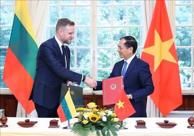 El ministro de Relaciones Exteriores de Vietnam, Bui Thanh Son (derecha), y su homólogo lituano, Gabrielius Landsbergis. (Fotografía: VNA)