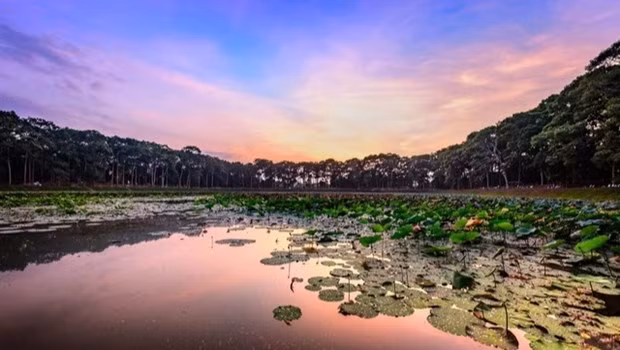 El estanque de Ba Om, en la provincia de Tra Vinh. (Fotografía: vtn.vn)