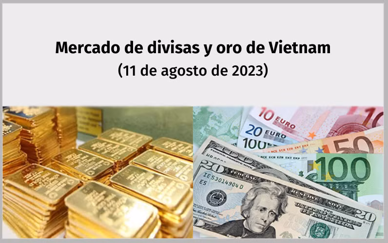 Infografía: Mercado de divisas y oro de Vietnam - 11 de agosto de 2023