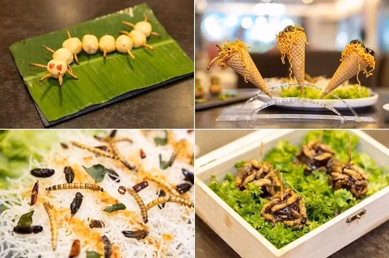 Singapur aprueba el consumo de algunas especies de insectos. (Fotografía: The Straits Times)