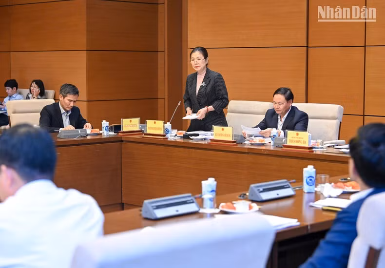 La vicepresidenta del Frente de la Patria de Vietnam Truong Thi Ngoc Anh.