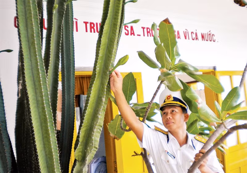 Un joven soldado cuida la flor de una cactácea.