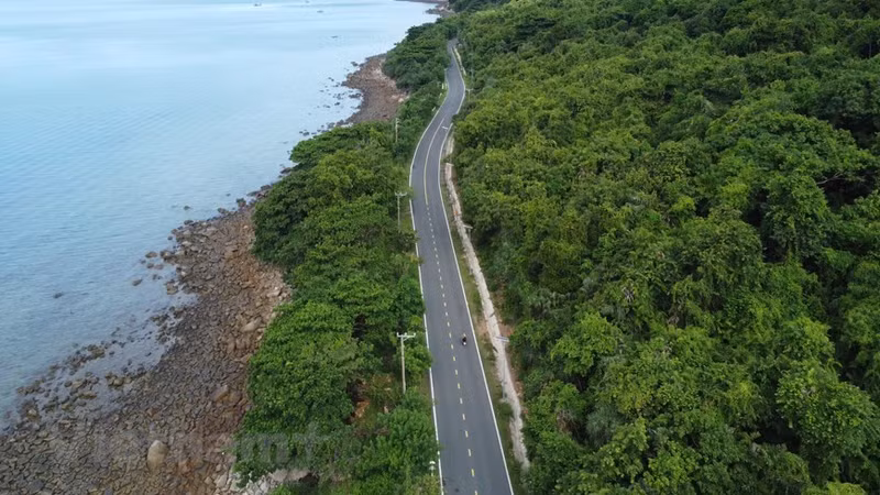 Al recorrer la ruta de unos cinco kilómetros, los visitantes llegarán al borde del Parque Nacional de Con Dao y apreciarán los bosques primitivos con muchos árboles preciosos.