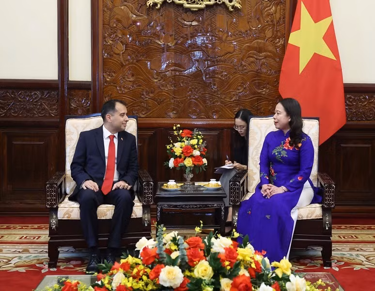 Reunión entre la presidenta interina de Vietnam, Vo Thi Anh Xuan, y el nuevo embajador de Turquía, Korhan Kemik. (Fotografía: VNA)