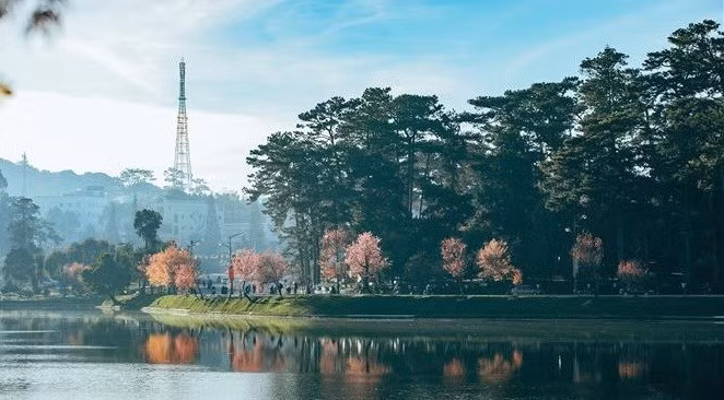 El Lago Xuan Huong, el corazón de Da Lat, es un paisaje famoso que atrae a turistas nacionales y extranjeros por su belleza suave y romántica.
