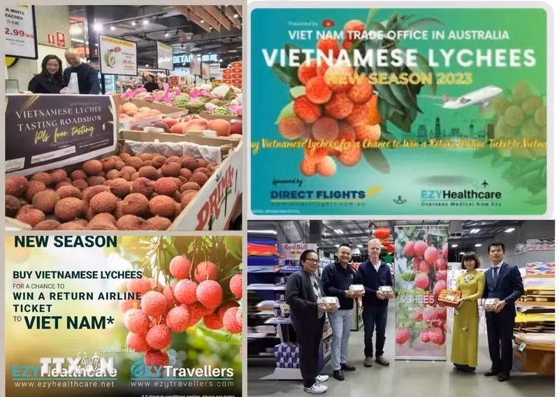 La Oficina Comercial de Vietnam en Australia ha llevado a cabo una serie de actividades de promoción del lichi en el país de Oceanía en los últimos tiempos. (Fotografía: VNA)