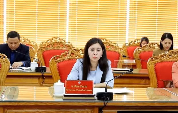 Doan Thu Ha, vicepresidenta del Comité Popular de Lang Son. (Fotografía: VNA)