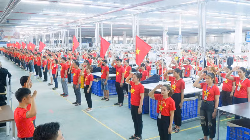 En una fábrica en la central provincia de Nghe An. (Fotografía: Periódico de Nghe An) En una fábrica en la central provincia de Nghe An. (Fotografía: Periódico de Nghe An)