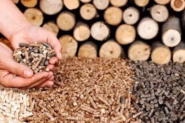 Exportaciones vietnamitas de productos de desecho forestal podrían recaudar fondo multimillonario. (Fotografía: baodautu.vn)