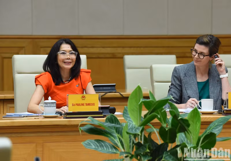 Pauline Tamesis, coordinadora residente de la ONU en Vietnam.